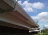 Gutters half cleaned - see the difference?